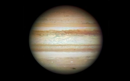 澳门金牛版2024年免费资料大全